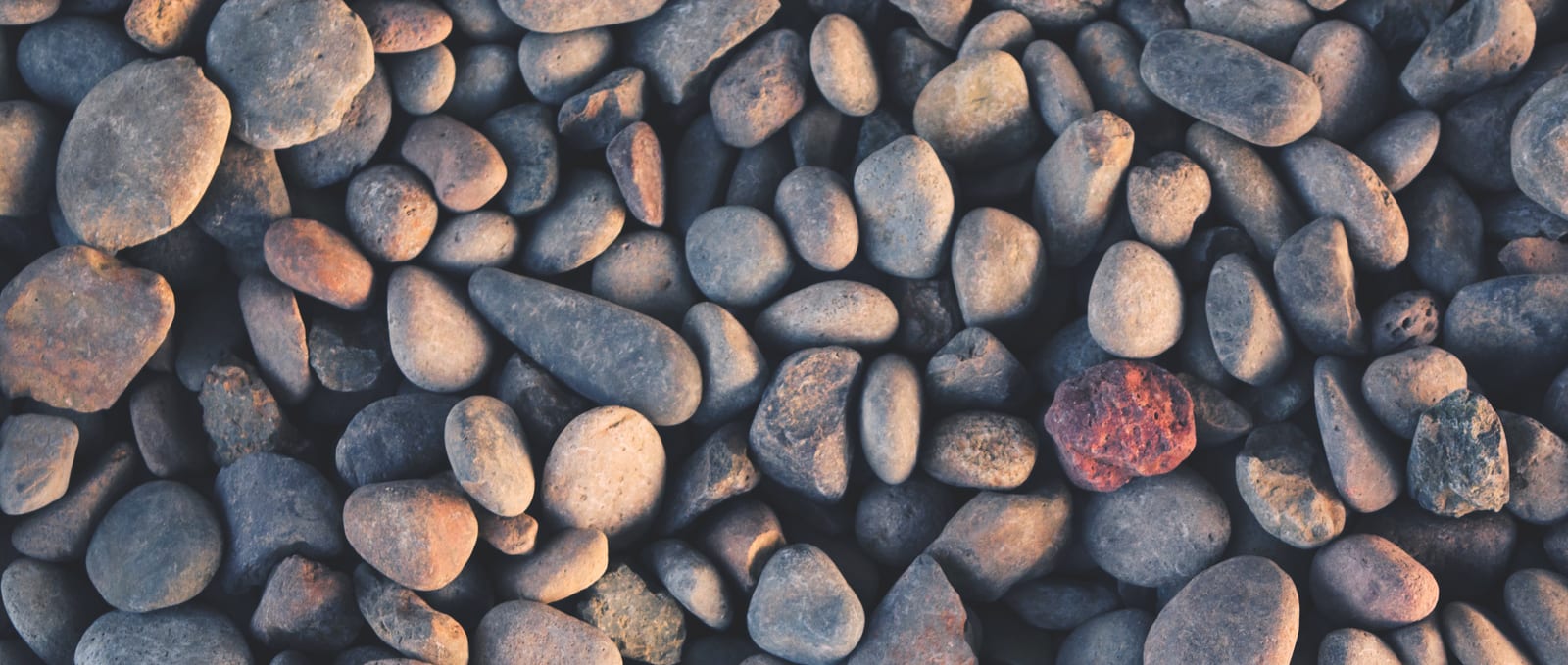 rocks